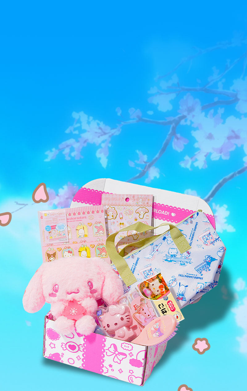 Hello Kitty box filled with kawaii stuff from Little Twin Stars, Chiikawa, Chococat, Kirby, Chococat and more!
